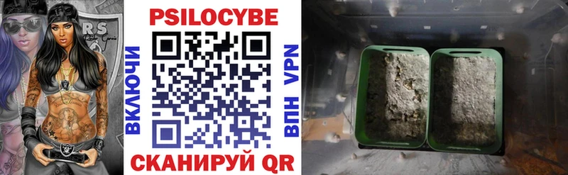 купить закладку Окуловка Псилоцибиновые грибы ЛСД